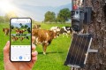 Kamera zewnętrzna podwójna 4G 3MP+3MP + panel słoneczny Technaxx TX-329 - 3045339