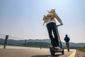 Hulajnoga elektryczna Segway-Ninebot KickScooter E2 PRO D - 3049330