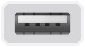 Apple USB-C - USB-A Adapter - 3053458