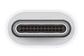 Apple USB-C - USB-A Adapter - 3053457