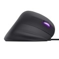 Mysz gamingowa TRUST GXT 144 Rexx Pionowa - 3053340