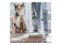 Bissell CrossWave Hydrosteam Pet Pro Odkurzacz pionowy Prąd przemienny Suchy i Mokry Bez worka 0 l 1100 W Czarny, Srebrny - 3051866