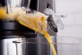 ELDOM WYCISKARKA WOLNOOBROTOWA PJ400 400W SREBRNO-CZARNA ,ŚLIMAK BPA FREE 80 [OBR./MIN] - 3072307