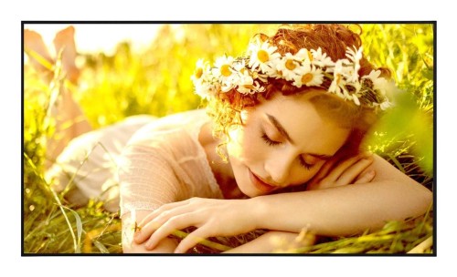 LG 65UL5Q-E signage display Płaski panel Digital Signage 165,1 cm (65") LED Wi-Fi 500 cd/m2 4K Ultra HD Czarny WebOS 24/7 - 3079899