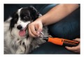 Black & Decker BCRT8I-XJ grawerka elektryczna - 3080893