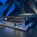 Patriot Premium Black DDR5 16GB 5600MHz Radiator - 3082801