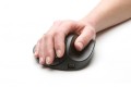 BakkerElkhuizen HandShoeMouse Wireless myszka Biuro Po prawej stronie RF Wireless Optyczny 1000 DPI - 3083987