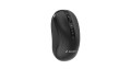 GEMBIRD MYSZ BEZPRZEWODOWA DUAL MODE (2.4G + BT) 1600 DPI, 4 PRZYCISKI, KOLOR CZARNY - 3084010