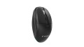 GEMBIRD MYSZ BEZPRZEWODOWA DUAL-MODE (2.4G + BT) 1600 DPI, 6 PRZYCISKÓW, KOLOR CZARNY - 3084018
