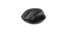 GEMBIRD BEZPRZEWODOWA, ERGONOMICZNA MYSZ TRI MODE (2.4G + BT + USB) 2400 DPI, 9 PRZYCISKÓW, CZARNA - 3084040