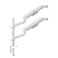 ERGO OFFICE UCHWYT NA 2 MONITORY, SPRĘŻYNA GAZOWA, 17"-32", 1-10KG, BIAŁY MAT ER-692 W - 3090524