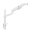 ERGO OFFICE UCHWYT / WIESZAK NA MONITOR SPRĘŻYNA GAZOWA, 17"-32", 1-10KG, BIAŁY MAT, MAX. VESA 100X100 ER-691 W - 3090608