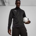 PUMA teamGOAL - 3099781