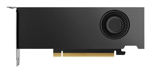 NVIDIA RTX 2000 Ada Generation - Karta graficzna - PCI-Express - 3096536