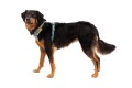 Szelki dla psa Ruffwear Front Range Harness XS - spring mountains - 3096601