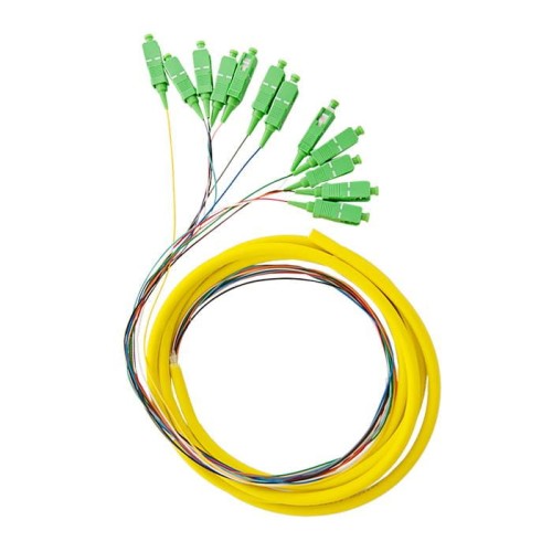 Pigtail światłowodowy Qoltec 12x  SC/APC | SM | G652D | 2m - 983134