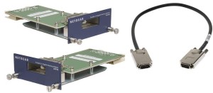 NETGEAR [ AX742 ] Moduł do Switcha ProSafe 24 Gigabit Stacking Kit
