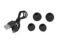 BLOW SŁUCHAWKI EARBUDS BTE200 BLACK - 1010693