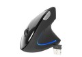 Mysz bezprzewodowa Tracer Flipper RF optyczna NANO USB czarna - 784506