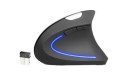 Mysz bezprzewodowa Tracer Flipper RF optyczna NANO USB czarna - 784510