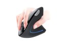 Mysz bezprzewodowa Tracer Flipper RF optyczna NANO USB czarna - 784509