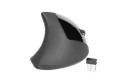Mysz bezprzewodowa Tracer Flipper RF optyczna NANO USB czarna - 784511