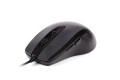 Mysz A4 TECH A4TMYS44125 (optyczna; 1600 DPI; kolor czarny) - 1067570