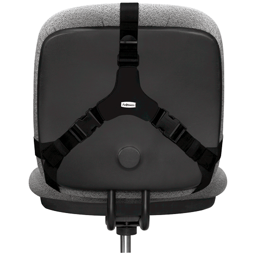 Fellowes profesjonalna podpórka pod plecy - 518247