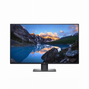 MONITOR DELL LED 42,5" U4320Q
