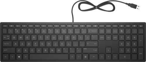 HP PAV Wired Keyboard 300 4CE96AA - 1151599