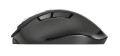 MYSZ TRUST Fyda Rechargeable Wireless Comfort Black - 783808