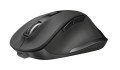 MYSZ TRUST Fyda Rechargeable Wireless Comfort Black - 783806
