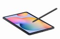 Samsung Galaxy Tab S6 Lite SM-P615N 64GB LTE Oxford Gray - 796982
