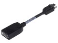 Adapter HP mini DP to DP 703216-001 - 1132920