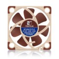 Wentylator NOCTUA 40mm 3700-4500 RPM (12,9dbA) - 1015238