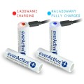 EVERACTIVE AKUMULATOR 18650 3,7V LI-ION 3200MAH MICRO USB Z ZABEZPIECZENIEM FWEV1865032MBOX - 893394