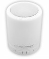 Głośnik Bluetooth Esperanza Fantasia EP131 FM LED biały - 716432