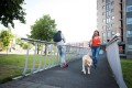 Plecak do notebooka 15,6" RivaCase Alpendorf szary, z materiału wodoodpornego - 1140225