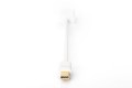 Kabel adapter DIGITUS mini Displayport 1080p 60Hz DP++ / HDMI M/Ż biały 0,15m - 1309987