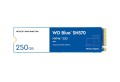 Dysk SSD WD Blue SN570 250GB M.2 2280 PCIe NVMe (3300/1200 MB/s) WDS250G3B0C - 1017527