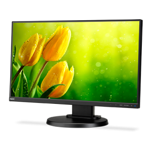 E221N Black - 22" 3-sided narrow bezel, LCD monitor with LED backlight, IPS panel, resolution 1920x1080, DisplayPort, HDMI, DSUB 110 mm height adjustable