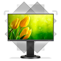 E221N Black - 22" 3-sided narrow bezel, LCD monitor with LED backlight, IPS panel, resolution 1920x1080, DisplayPort, HDMI, DSUB 110 mm height adjustable - 438031