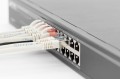 Switch niezarządzalny DIGITUS 19" Rack Gigabit 16x10/100/1000Mbps - 1396292