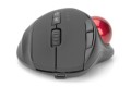 Mysz bezprzewodowa DIGITUS typu trackball, ergonomiczna, bluetooth, 2.4Ghz lub USB C, czarna - 1307684