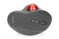Mysz bezprzewodowa DIGITUS typu trackball, ergonomiczna, bluetooth, 2.4Ghz lub USB C, czarna - 1128088