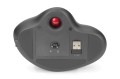 Mysz bezprzewodowa DIGITUS typu trackball, ergonomiczna, bluetooth, 2.4Ghz lub USB C, czarna - 1128089