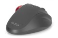 Mysz bezprzewodowa DIGITUS typu trackball, ergonomiczna, bluetooth, 2.4Ghz lub USB C, czarna - 1188298