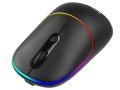 Mysz bezprzewodowa Tracer RATERO RF optyczna nano czarna z akumulatorem - 1315204