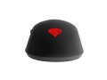 Zestaw przewodowy klawiatura + mysz + słuchawki + podkładka Genesis Cobalt 330 Gaming - 1405448