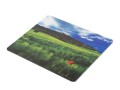 Podkładka pod mysz FOTO Natec Italy 220x180mm 10-Pack - 985221